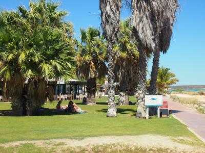 Dolphin Resort Monkey Mia